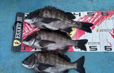 o1024102415749097104