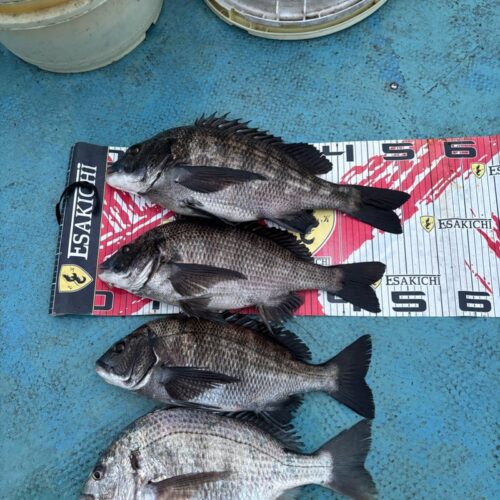 o1024102415749097104