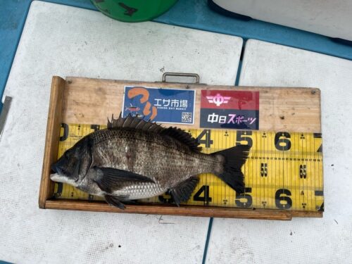 o1080081015751799674