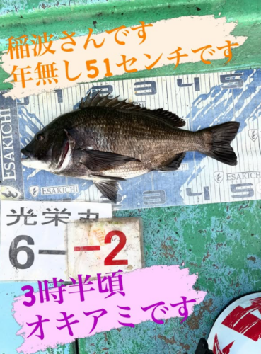 スクリーンショット (816)