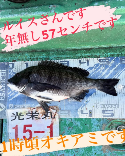 スクリーンショット (832)