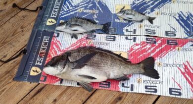 sign_2026-03-24-1906