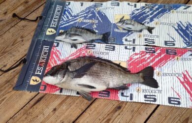 sign_2026-03-24-1906