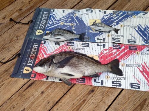 sign_2026-03-24-1906