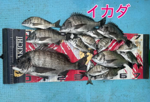 スクリーンショット (897)