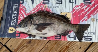 sign_2026-04-14-2023