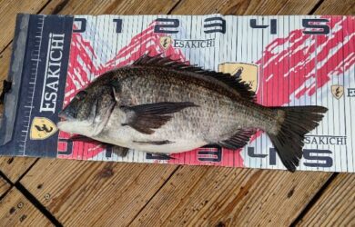 sign_2026-04-14-2023