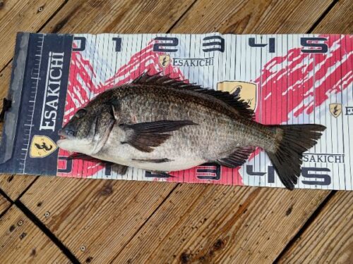 sign_2026-04-14-2023