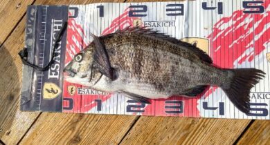 sign_2026-04-29-2010