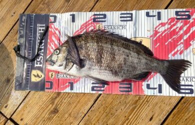 sign_2026-04-29-2010