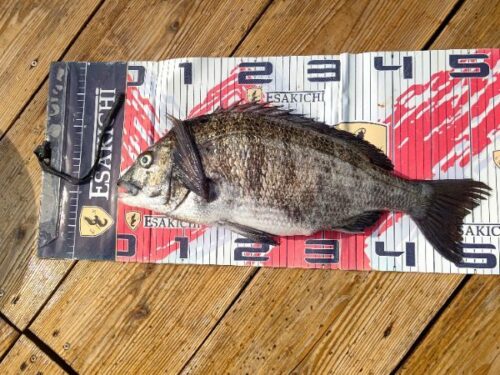 sign_2026-04-29-2010