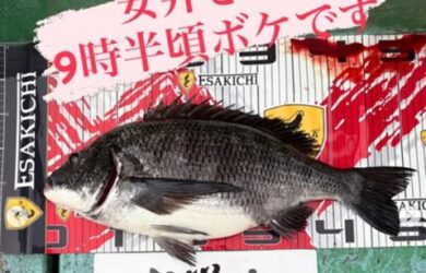 ルし