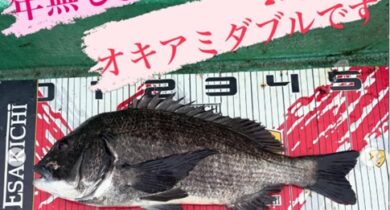 タイトルなし