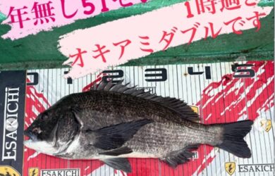 タイトルなし