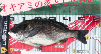 イルし