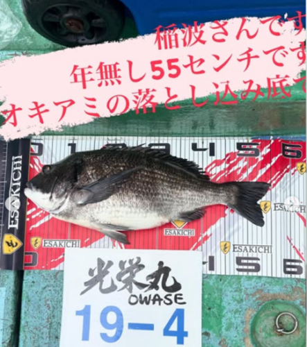 イルし
