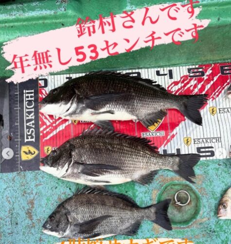 イトルな1し
