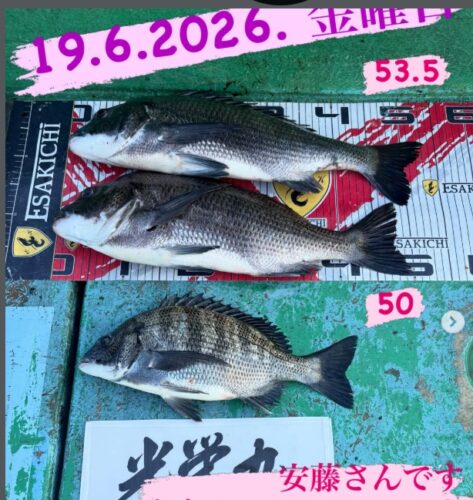 トルなし