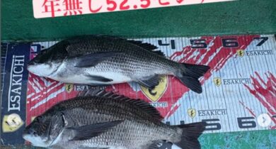ルなし