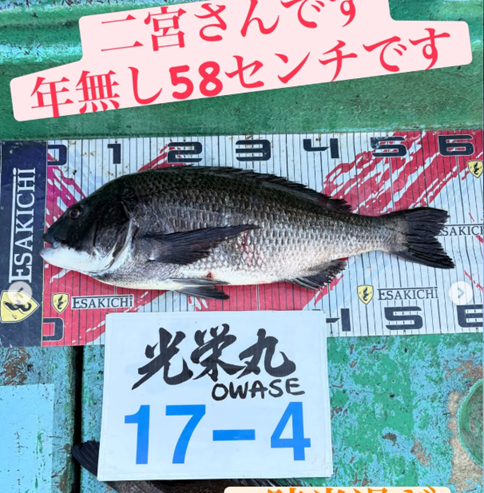 イトルなし