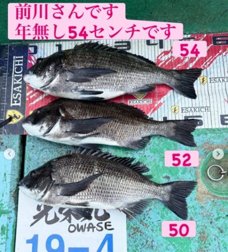 イトルなし