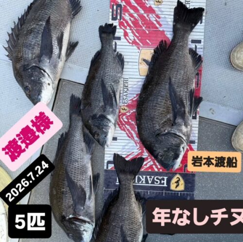 トルなし