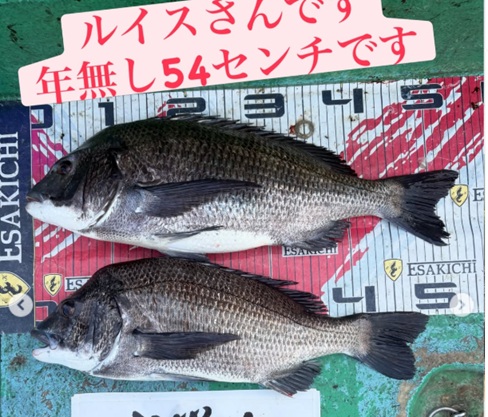 トルなし