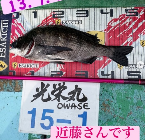 トルなし