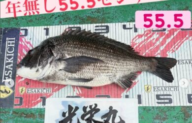 イトルなし