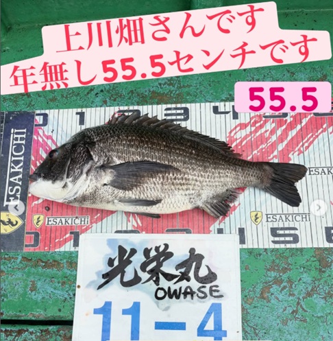 イトルなし