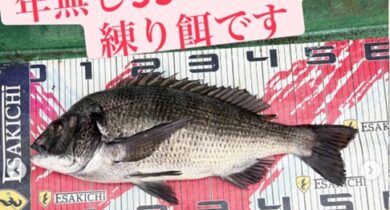 イトルなし