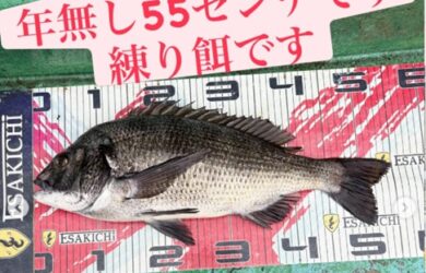 イトルなし