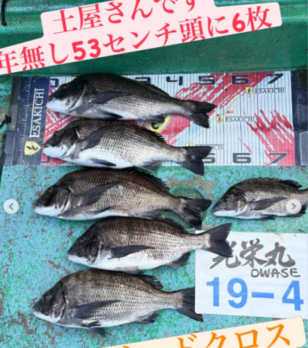 イトルなし