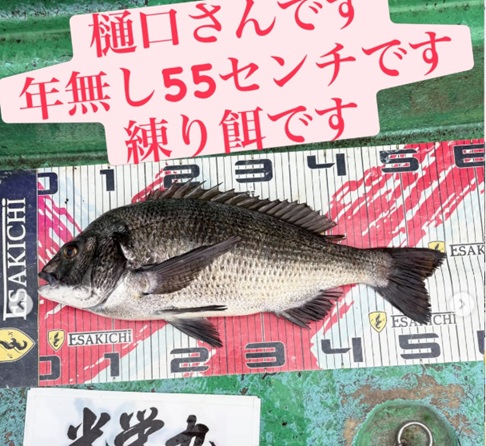 イトルなし