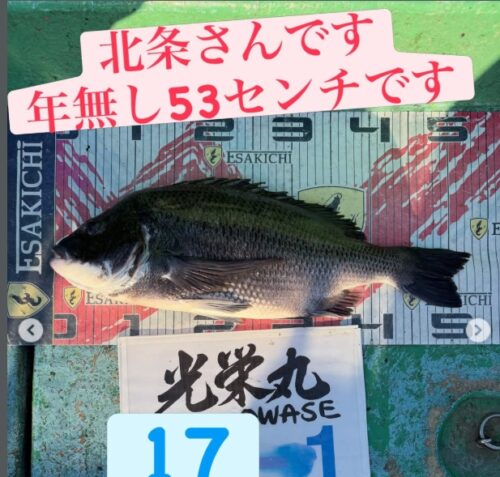 トルなし