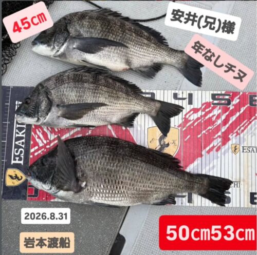 トルなし