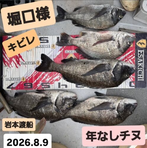 トルなし