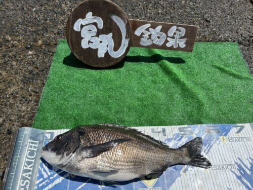 宮丸