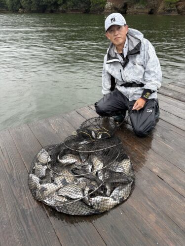 有岡渡船