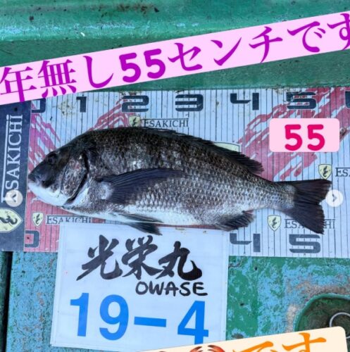 トルなし