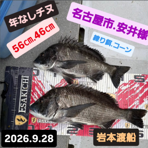 トルなし
