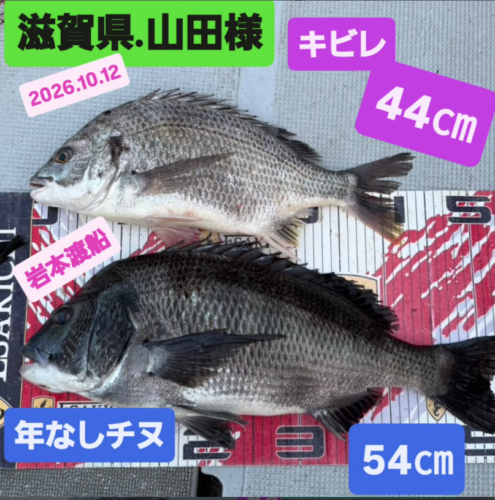 ルなし