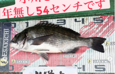 ルなし