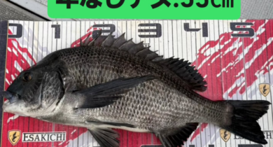 ルなし