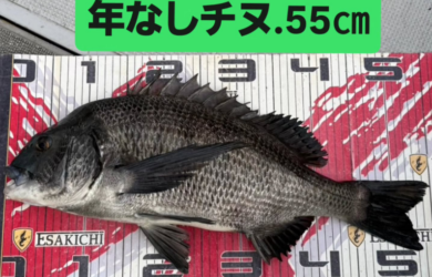 ルなし