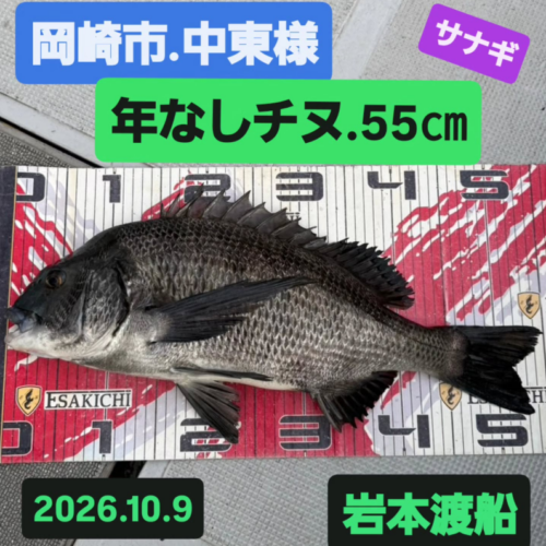 ルなし