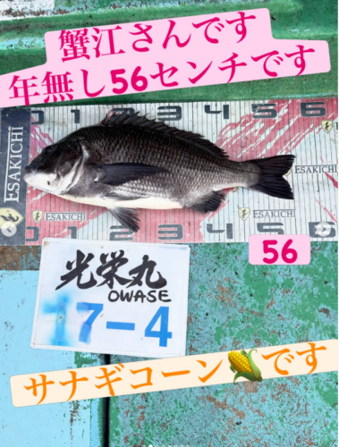 スクリーンショット (1473)